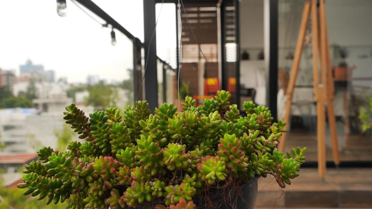 Loft Remedios - Penthouse Cdmx - Areas Comunes Compartidas Mexiko-Stadt Exterior foto